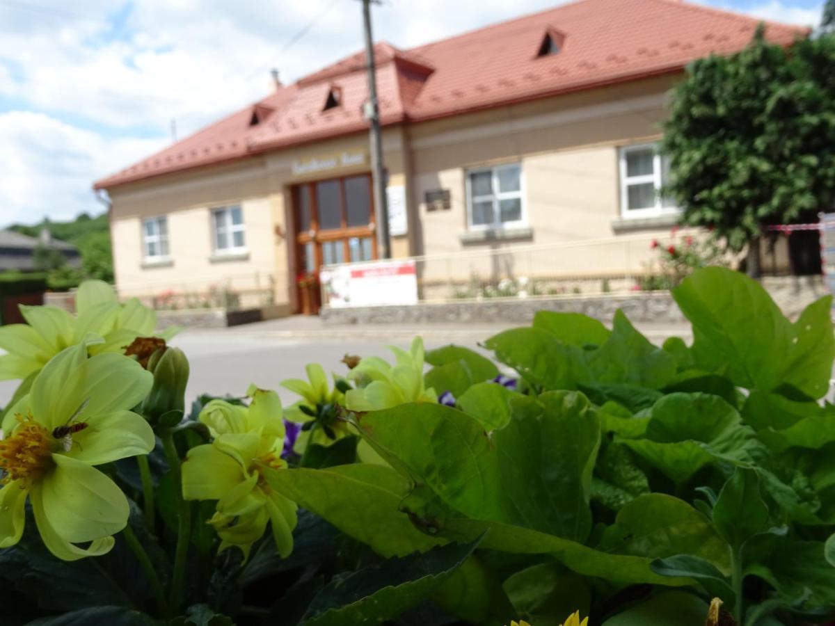 Guesthouse Ilona Velky Kamenec Exterior photo