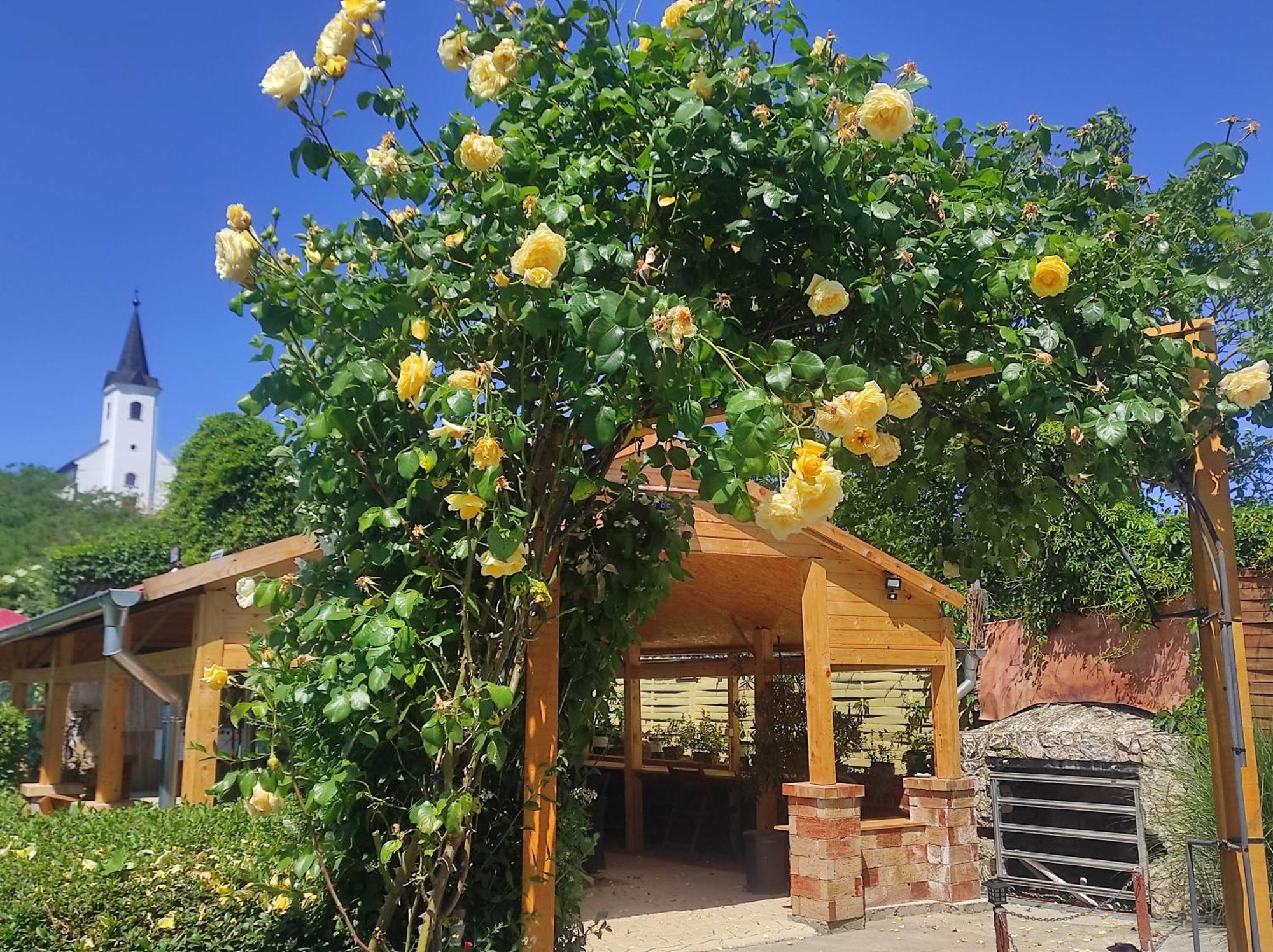 Guesthouse Ilona Velky Kamenec Exterior photo